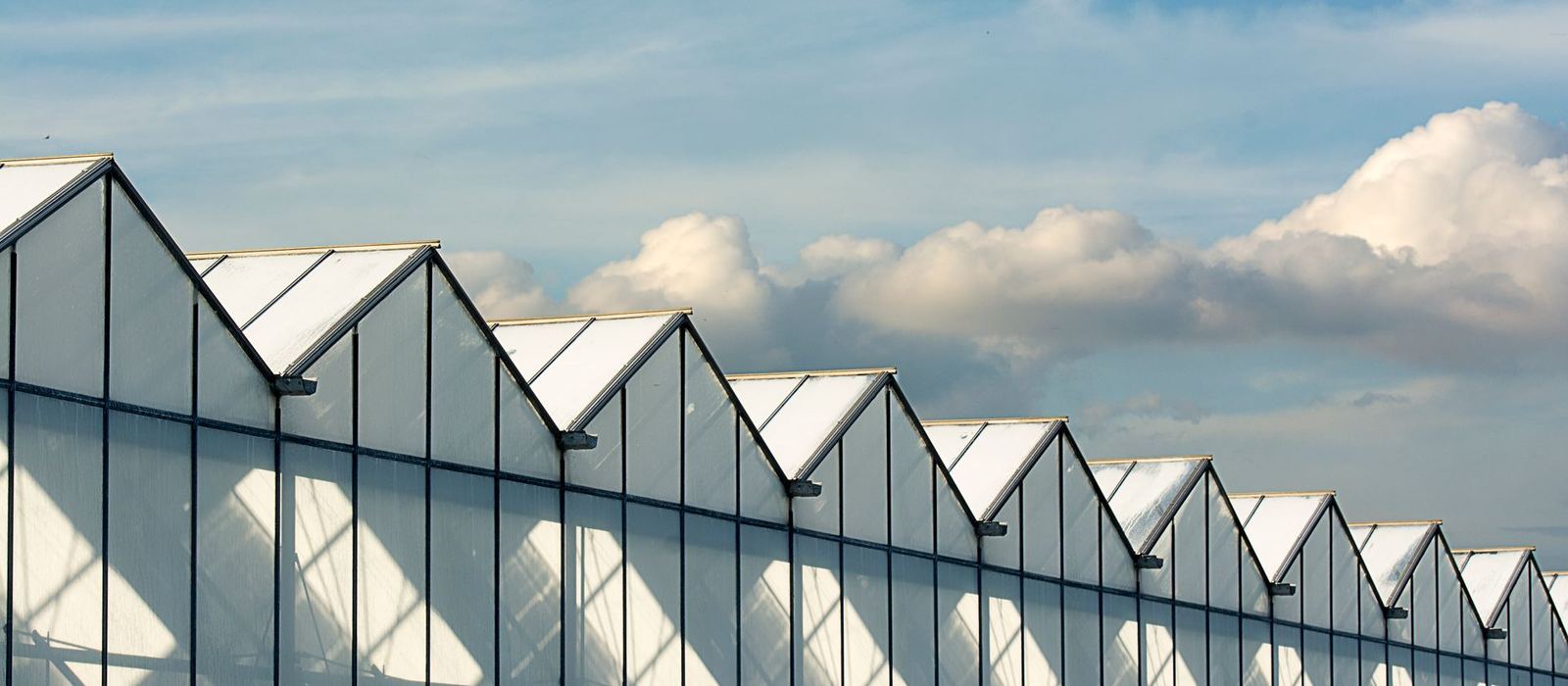 Fassade eines modernen Gewächshauses vor blauem Himmel
